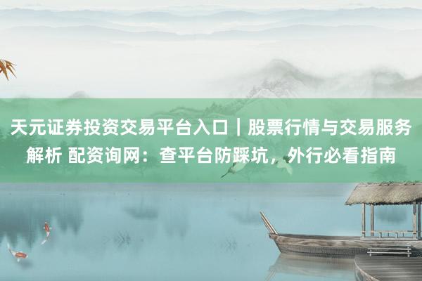 天元证券投资交易平台入口｜股票行情与交易服务解析 配资询网：查平台防踩坑，外行必看指南